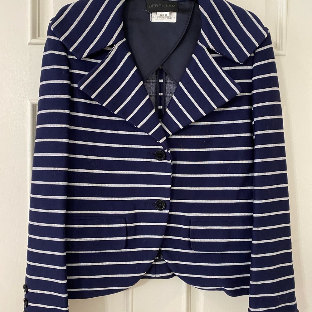 Derek Lam stripped blue & white light weight jacket. V-neckline.